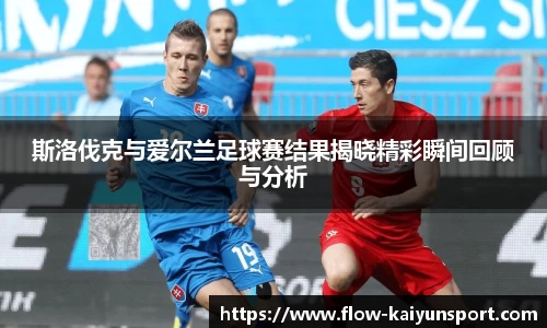 斯洛伐克与爱尔兰足球赛结果揭晓精彩瞬间回顾与分析